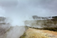 Craters of the Moon Geothermal Area (Karapiti)