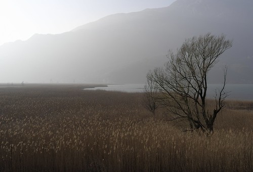 leica fog lago italia day lombardia palude x1 valchiavenna piandispagna verceia lagodimezzola leicax1