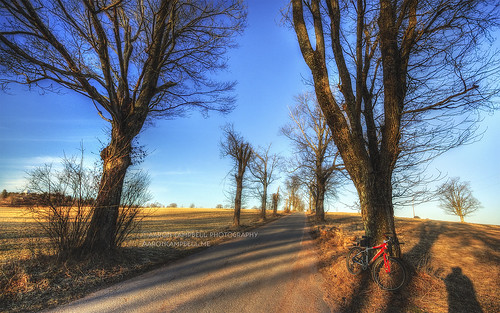 road trees winter sunlight bicycle rural canon landscape eos march glow shadows pennsylvania country mountainbike saturday sigma fields softfocus lehman pastoral 9th cannondale idyllic hdr highdynamicrange bucolic nepa hayfieldroad hayfields luzernecounty backmountain photomatixpro tonemapping 2013 550d hayfieldfarm 1020mmf456exdchsm rebelt2i kissx4 aaronglenncampbell aaroncampbellme