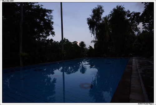 bali sunrise hotel soleil piscine ubud levant hôtel baignade indonésie domah domahbalihotel