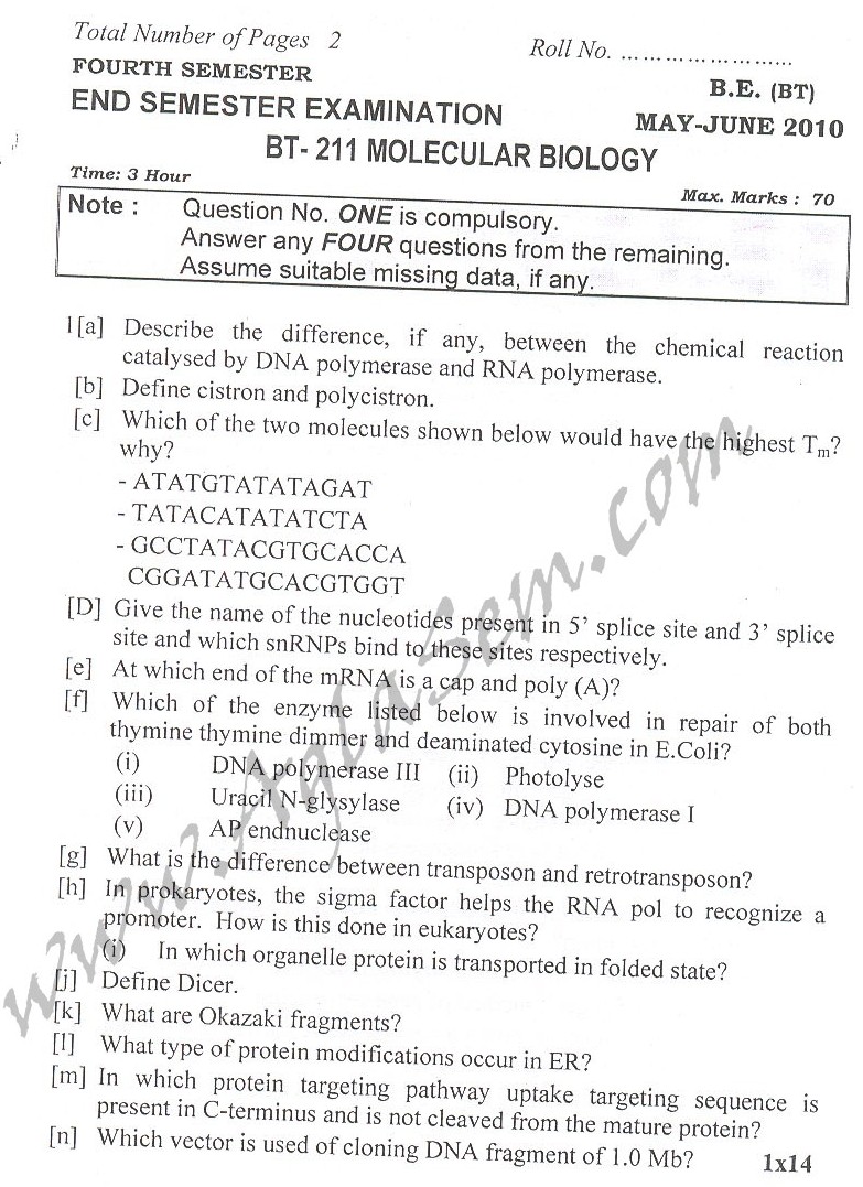 DTU Question Papers 2010  4 Semester - End Sem - BT-211