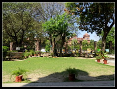 View Of Old Campus From Lahore Museum Punjab