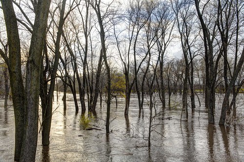 river illinois flood mackinawriver