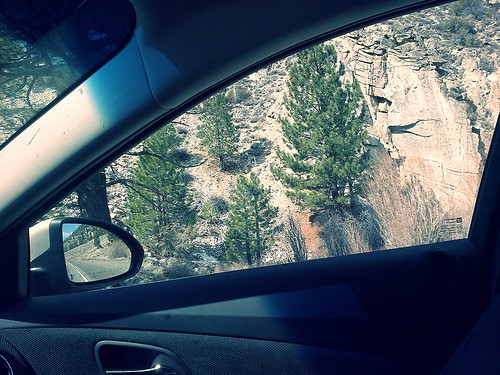 tree car rock windowview sierras