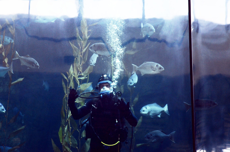 Long Beach Aquarium.