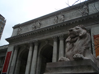 the lion & the library