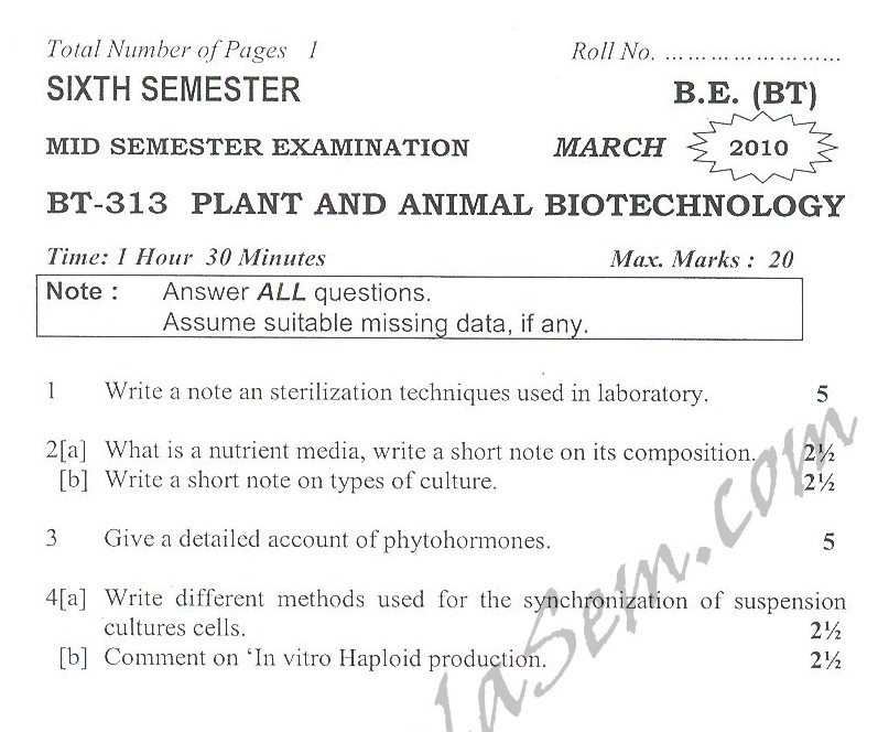 DTU Question Papers 2010 – 6 Semester - Mid Sem - BT-313