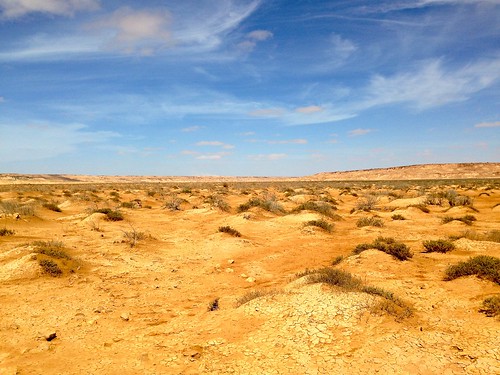 laayoune westsahara