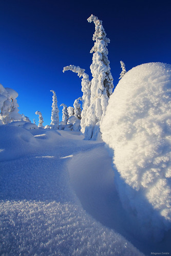 winter snow cold sweden lapland norrland tjautjas