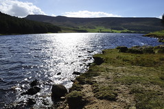 Greenfield Brook to Dovestone (119)