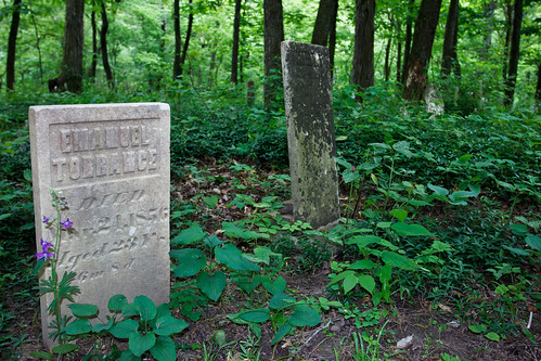 cemetery illinois historic