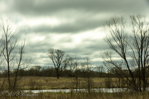 wood longexposure trees sky nature water field leaves clouds canon landscape outdoors morninglight spring pond hiking overcast 7d april cloudysky stormclouds canon7d canon1585mmlens