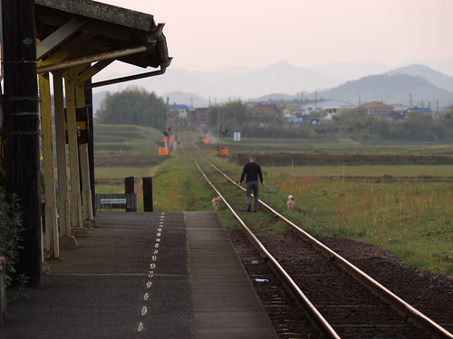 sunset dog station rural train track rail railway olympus 50200mm hojo zd 北条鉄道 hokkeguchi 法華口 epl5