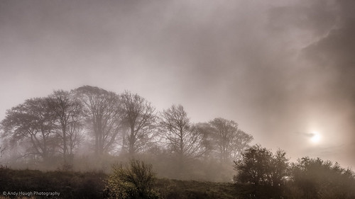 morning trees light england misty fog clouds sunrise moody unitedkingdom sony atmospheric castlehill wallingford a77 southoxfordshire sonyalpha andyhough whittenhamclumps slta77 andyhoughphotography