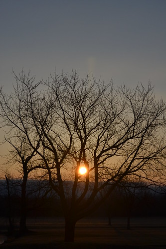 trees sky nature clouds sunrise dawn spring nikon lockport