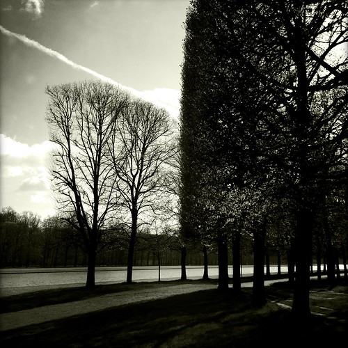 trees blackandwhite bw france water gardens landscape parks versailles landscapedgardens mobileart mobilephotography iphoneography lumilyon hipstamatic nettieedwards