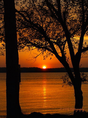trees sunset lake reflection tree water silhouette reflections river gold golden spring tn tennessee ripple shoreline lakes silhouettes sunsets peaceful calm shore rivers april reflective waters ripples recreation shores waterway shimmering shimmer tennesseeriver settingsun earlyevening recreational kentuckylake henrycounty stewartcounty grayslandinglakeaccessarea
