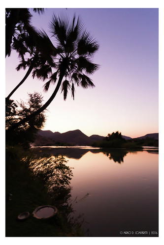 na africa namibia alberi flickr geotagged namibiadiscovery2016 natura nature palm palma tramonto tree