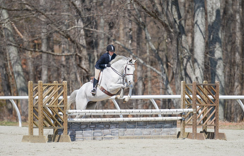 sports animal animals jumping equine equitation cleanslate randolphcollege allisonrenulli