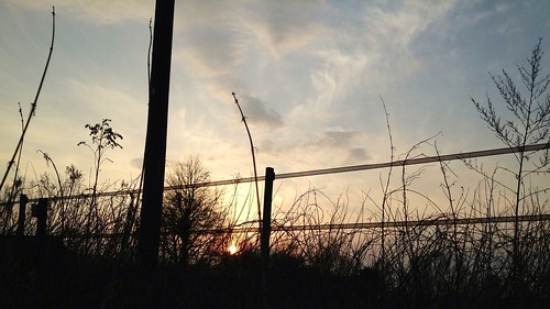 sunset sky sun clouds fence himmel gras sonne kontrast uploaded:by=flickrmobile flickriosapp:filter=nofilter