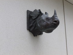 Rhino d'Edimbourg