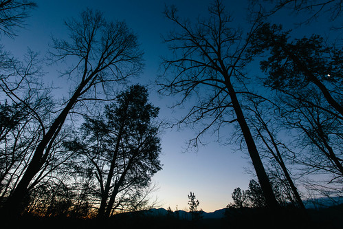 trees moon mountains silhouette dawn view gradient gatlinburgtennessee clearnight