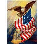 eagle with us flag