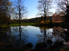Ringwood State Park Pond_2876