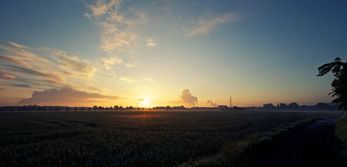 blue sun sunrise landscape deutschland outdoor nrw blau sonne sonnenaufgang landschaften moers project365 ausenaufnahme everyday2013
