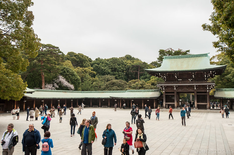 El Santuario Meiji de Tokio