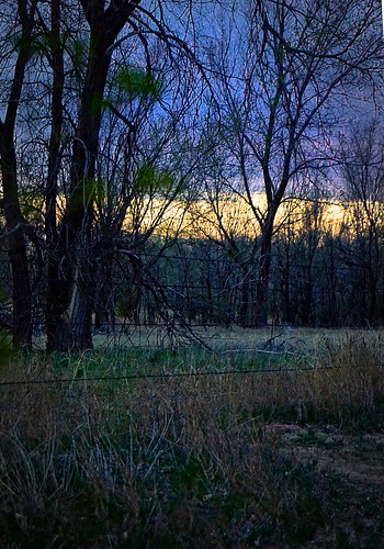 park trees sunset green oklahoma spooky western eery