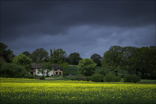 england sky house color colour rain weather yellow rural sussex countryside spring colorful rainyday westsussex britain farm farming farmland rape colourful 1855mm agriculture springflowers southdowns canola englishcountryside rainclouds midhurst countryhouse countrylife rapeseed britishcountryside oilseedrape rapa englishvillage blacksky rapaseed ruralengland wetweather picturepostcard elsted xe1 treyford rapeseedoil rappi didling ruralsussex sussexvillage sussexcountryside newhousefarm southdownsnationalpark elstedmarsh ingramsgreen elstedroad daviddalley davidjdalley westfieldhanger fujifilmxe1 fujixe1 fuji1855mm grevatts theinhams