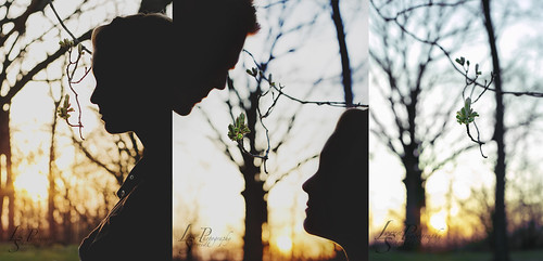 sunset sun love night forest dark couple silhouettes sunsets lovers lover