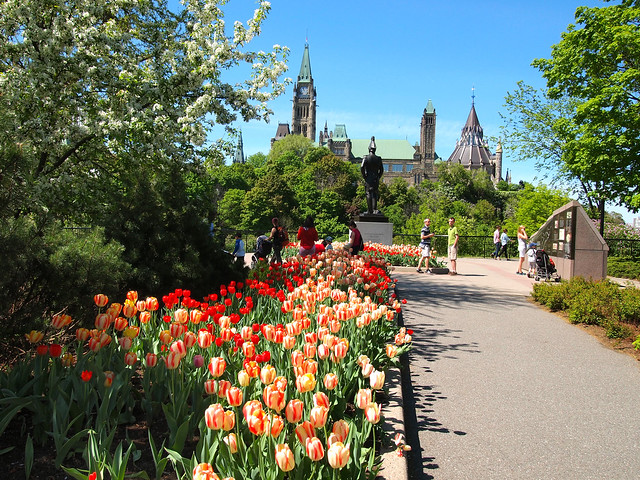 Canadian Tulip Festival in Ottawa