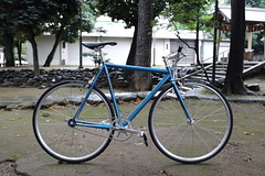 *AFFINITY CYCLES* lo pro