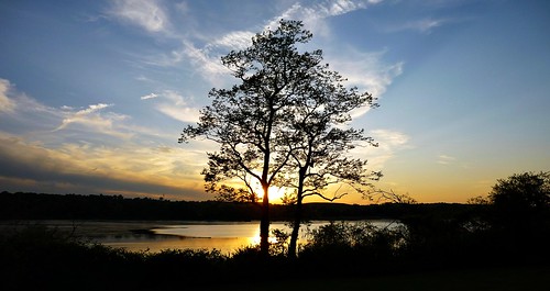 sunset newyork longisland roslyn roslynharbor cedarmere