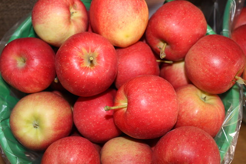 qc québec quebec canada pommes apples orchard fruit food nature licensed shutter