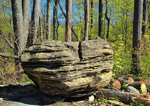 trees forest newjersey spring rocks hiking logs boulder foliage creativecommons deciduous appalachianmountains warrencounty jennyjumpstateforest jennyjumpmountain glacialerratic jennyjumpstatepark temperatedeciduousforest