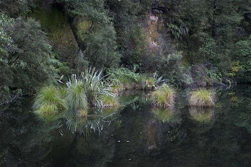light newzealand reflection green water forest canon landscape pond dam southisland westcoast nelsoncreek collsdam