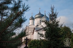 Покровский собор 896