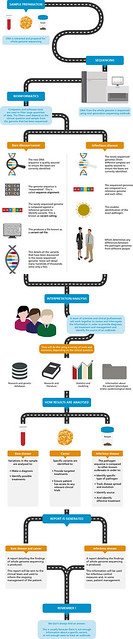 Whole genome sequencing pipeline