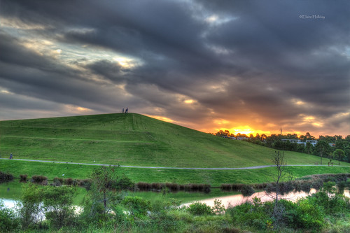 trees sunset orange green water grass canon hill sydney australia hdr sydneyolympicpark