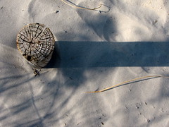 Inadvertent Sundial
