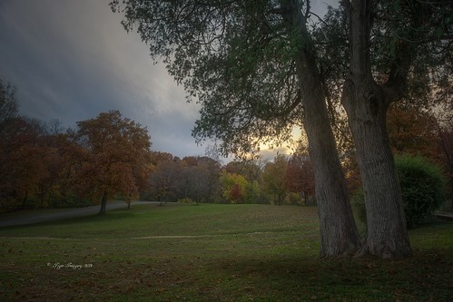 autumn trees landscapes illinois nikon fallcolors sunsets nationalgeographic quincyil quincyillinois nikond800e