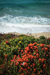 Garrapata State Beach - Carmel, California