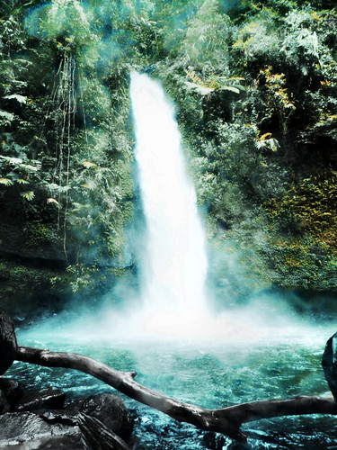 geotagged waterfall waterfalls sukabumi situgunung airterjun curug gununggedepangrango curugsawer tamannasionalgununggedepangrango curugcimanaracun