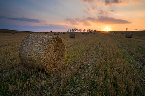 brasov capitefan sunset round apus fields wheat green red yellow haystack clouds