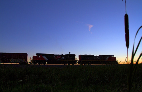 cn train cattails marsh freight canadiannational freighttrain cn2115 theresamarsh theresastationwi