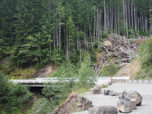 rural forest bridge