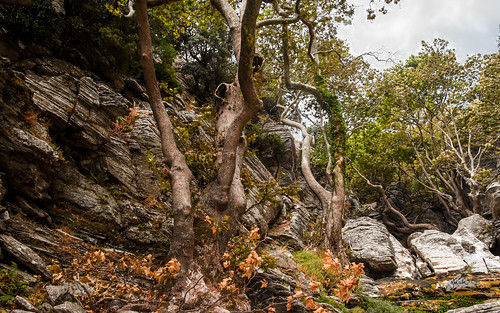 dimosari euboea greece kallianou karistos lenosei gorge landscape ravine rock water waterfall evia thessaliastereaellada summervacations